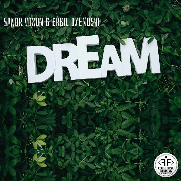 Обложка альбома Dream