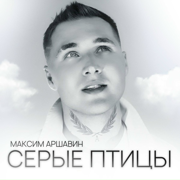 Обложка альбома Серые птицы