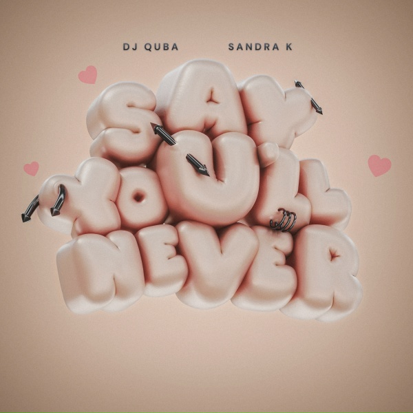 Обложка трека Say You'll Never