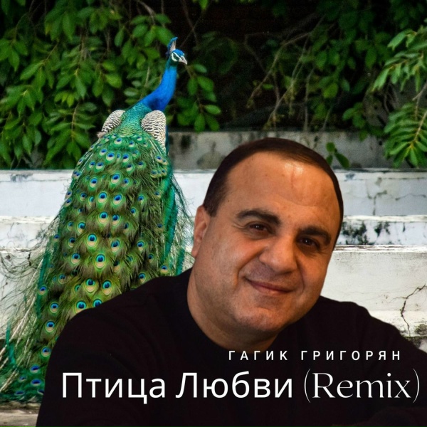 Обложка трека Птица Любви