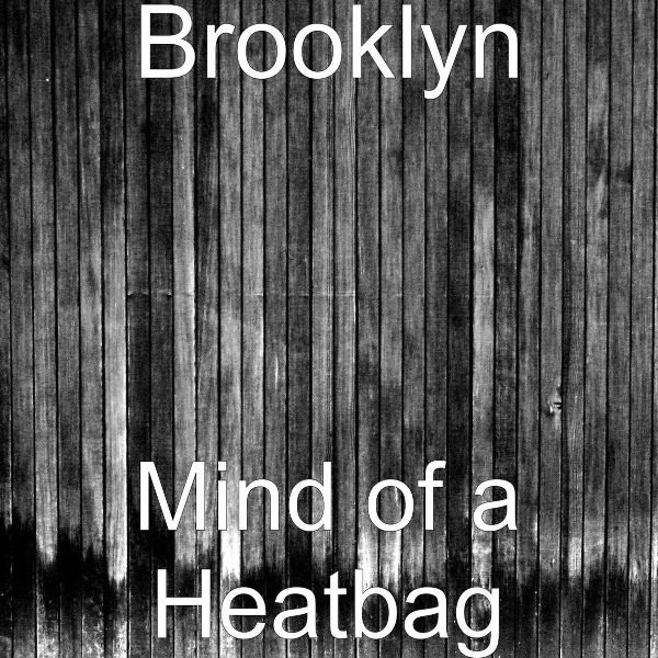 Обложка альбома Mind of a Heatbag