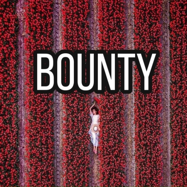 Обложка альбома Bounty