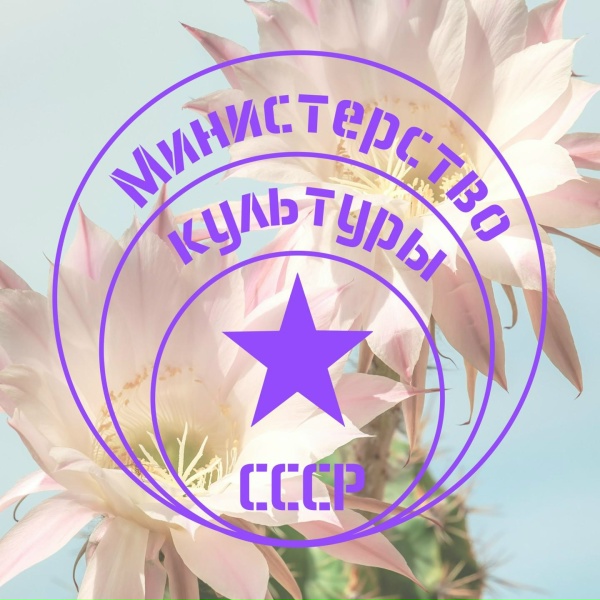 Обложка альбома Королева ночи