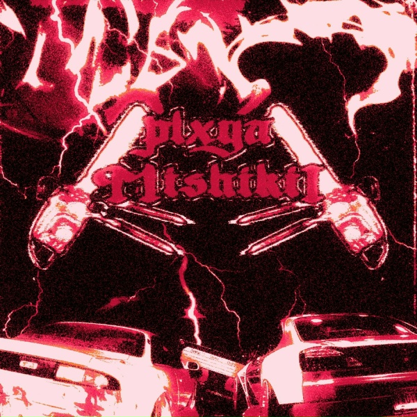 Обложка альбома never lose your PLXYAMISHIKII