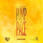 Pump and Pace (2017)