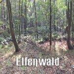 Elfenwald (2019)