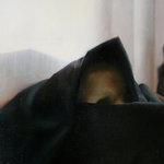 True Widow (2008)