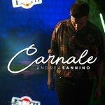 Слушать альбом - Carnale (2017)
