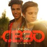Слушать альбом - Cool If You Wanna (2017)