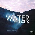 Water (2017)