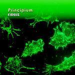 Слушать альбом - Principium (2018)