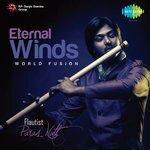 Слушать альбом - Eternal Winds (2005)