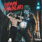 Слушать альбом - ORMAN KANUNLARI (2019)
