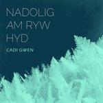 Nadolig Am Ryw Hyd (2017)
