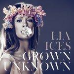 Слушать альбом - Grown Unknown (2011)