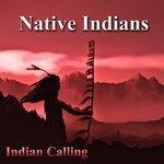 Слушать альбом - Native Indians (2014)