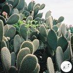 Слушать альбом - Kitsuné Hot Stream: Back to the Rhythm (2017)
