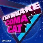 Слушать альбом - Coma Cat (2010)