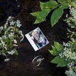 Сад (2018)