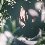 Слушать альбом - Shift (2018)