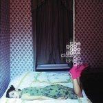 Слушать альбом - Dizzy Up The Girl (1998)