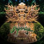 Codex VI (2017)