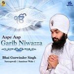 Aape Aap Garib Niwaaza (2017)