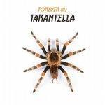 Tarantella (2017)