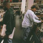 Endtroducing..... (1996)