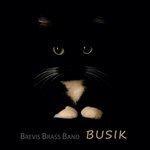 Обложка альбома Busik (2017)