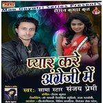 Pyar Kare Angreji Me (2018)