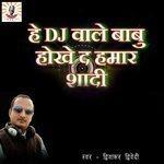 Ae DJ Waley Babu Hokey Da Hamar Shaadi (2017)