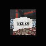 Слушать альбом - Guarda come flexo (2017)