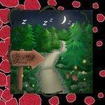 Sleeping Forest (2019)