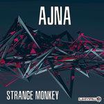 Strange Monkey (2017)