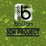 SDK Project (2017)