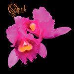 Слушать альбом - Orchid (1995)