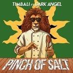 Pinch of Salt EP (2018)