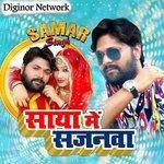 Saya Mein Sajanva (2018)