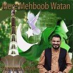 Слушать альбом - Mere Mehboob Watan (2018)