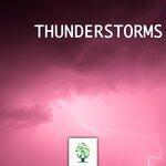 Thunderstorms (2019)