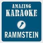 Rammstein (2013)