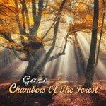 Слушать альбом - Chambers of the Forest (2019)