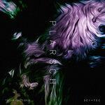 Plarsch (2019)