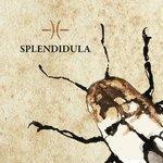 Слушать альбом - Splendidula (2018)