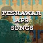 Слушать альбом - Peshawar a.P.S. Songs (2018)
