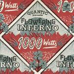 1000 Watts (2016)