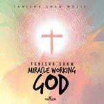 Слушать альбом - Miracle Working God (2017)