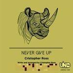Never Give Up (2018)