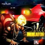 Indicator - Single (2016)